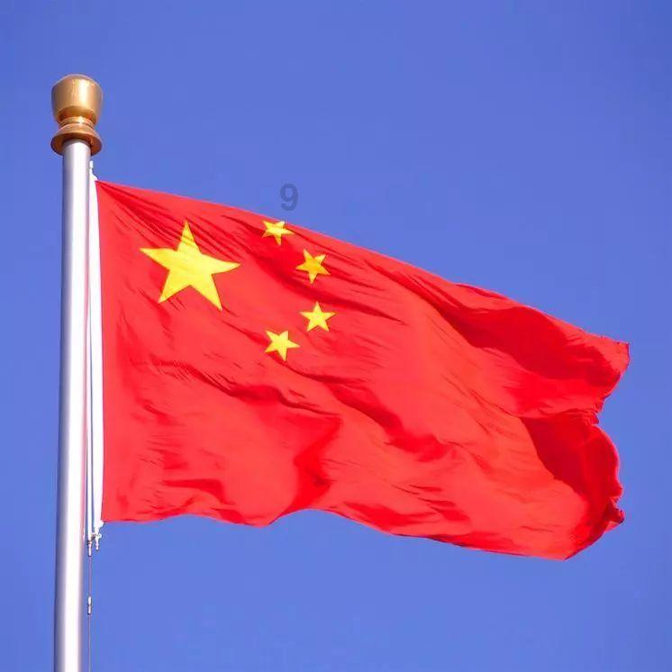 奔跑的兔子